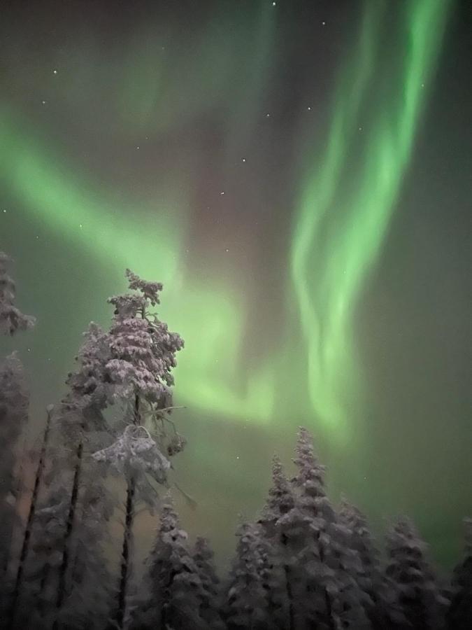 Levi Sensu - Levi Sky Igloos Villa Sirkka Bagian luar foto